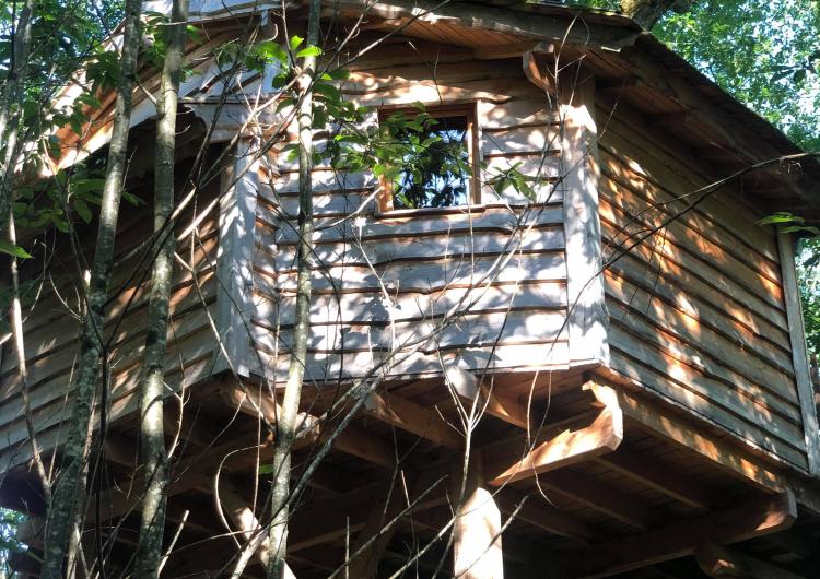 Cabane  écureuil