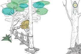 Illustartion cabane du Funambule