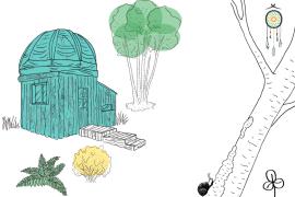 Illustration Bulle Perchée