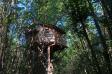 Cabane  écureuil